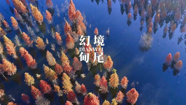 逃离违建房屋