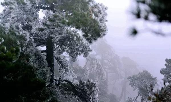 海贼王伟大冒险2