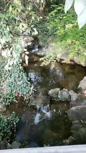 沪江开心词场