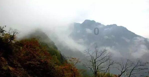 春雨直播app