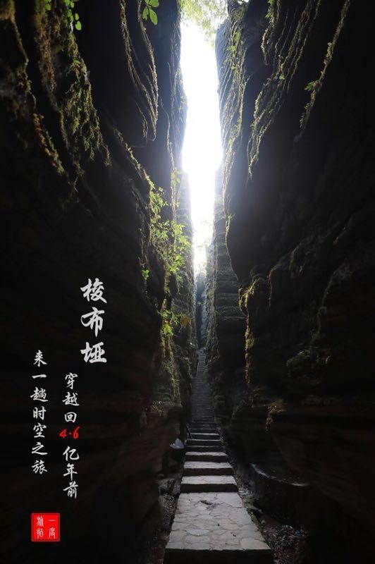 月光影视