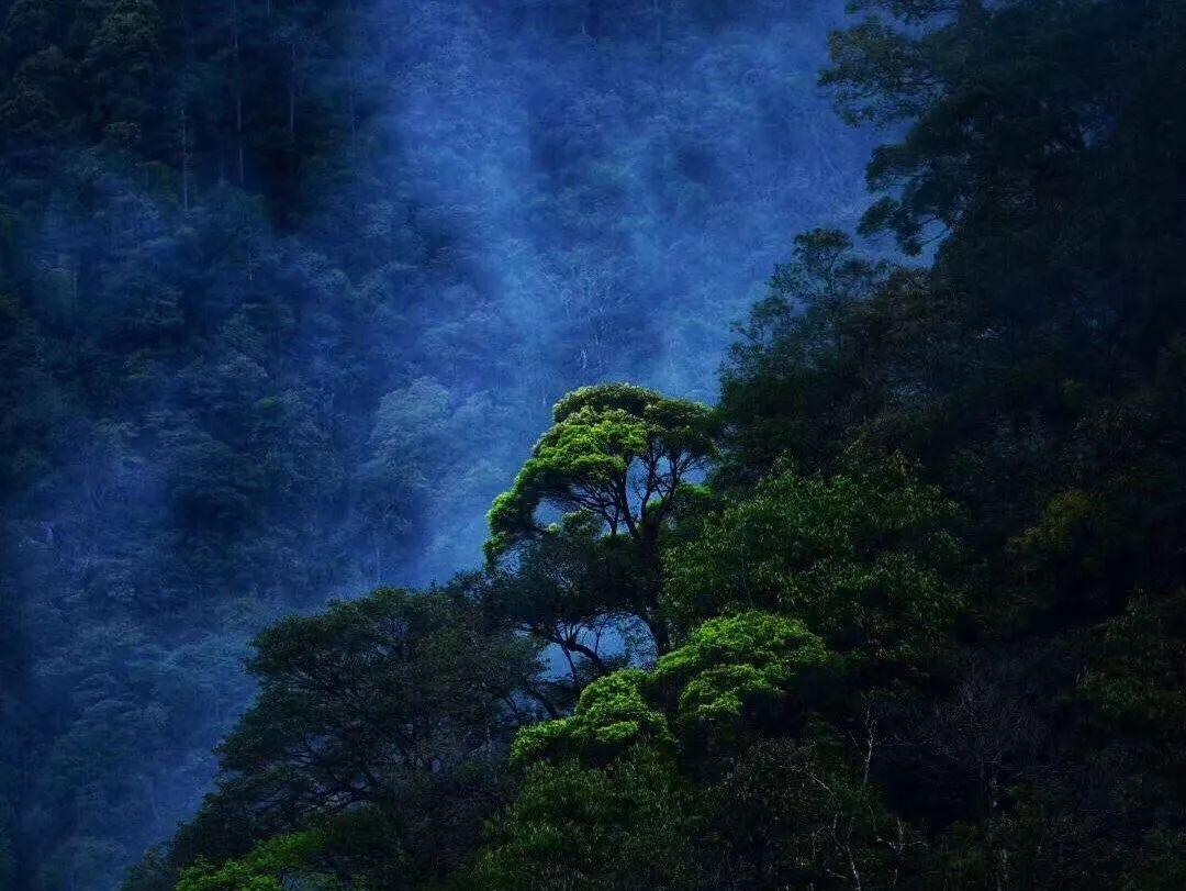 孤岛危机3