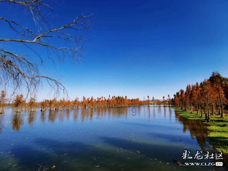 这活儿，全国独一份！哈尔滨竟给雪雕戴上了“实时在线听诊”传感系统保健康！