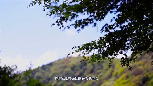 沪江开心词场