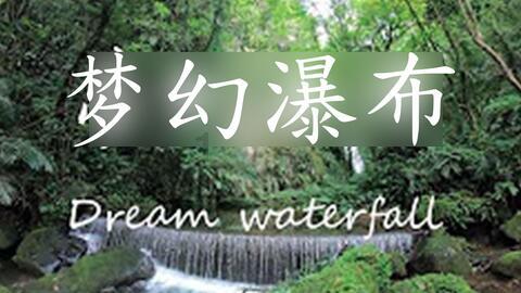 僵尸女友爱爬树