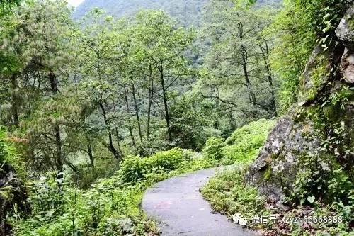 上海人工智能实验室发布2023年度大模型公开评测榜单