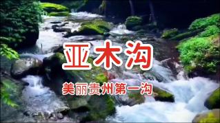 逃离废弃自然公园