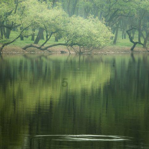 缤纷水果茶无敌版