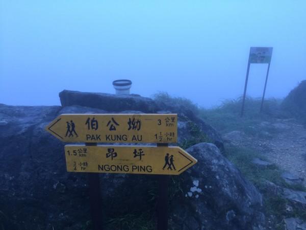 缤纷水果茶