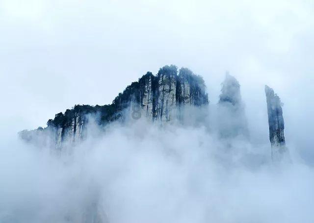 皇室家族