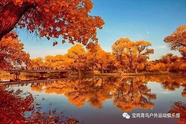 为什么别人都娶美女啊！游戏画面