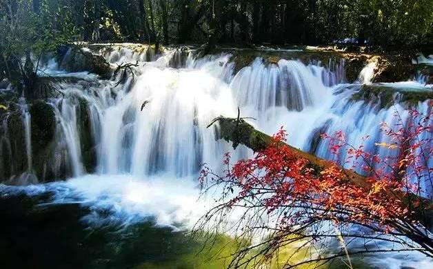 塞尔达：荒野之息