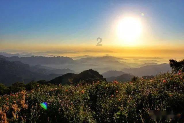 华为官宣：淘宝正式启动鸿蒙原生应用开发