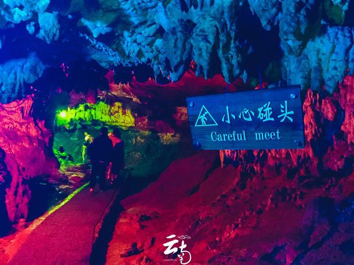 全战：幕府将军2