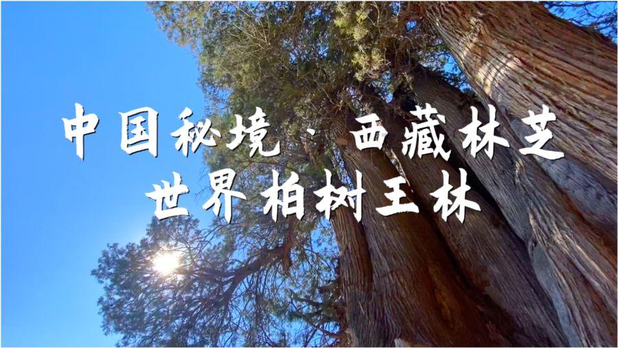 家园卡拉克沙漠