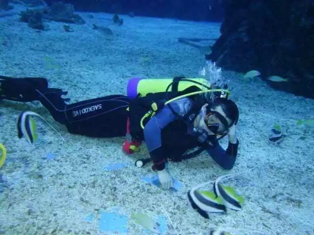 拯救科学家