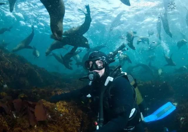 英国海军称两个海盗团伙可能在印度洋活动