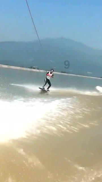 盐和避难所