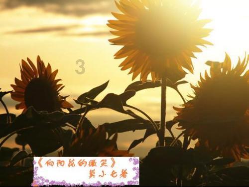 狗狗毛发粗糙吃什么食物可以使毛发柔顺亮泽？