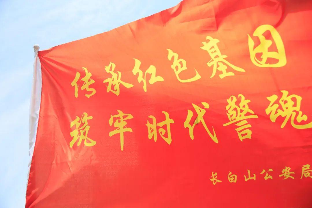 可爱啄木鸟逃脱