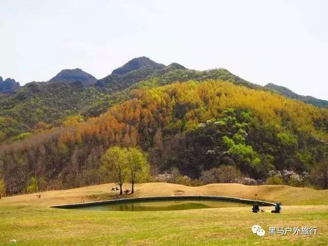 楼上经常很吵，楼下如何反击对付恶邻游戏画面