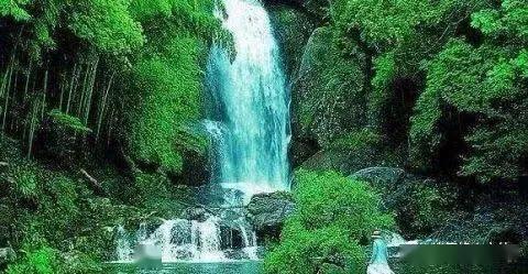 春运期间全疆天气预报出炉 气温总体偏高，需防范局地降雪降温和阴雾天气