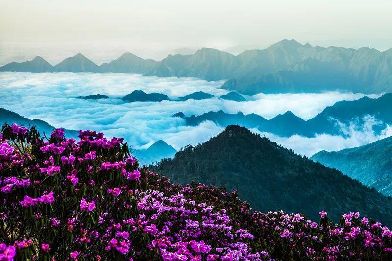《鲁豫有约一日行》专访王潮歌:我希望自己是一个严肃的艺术家
