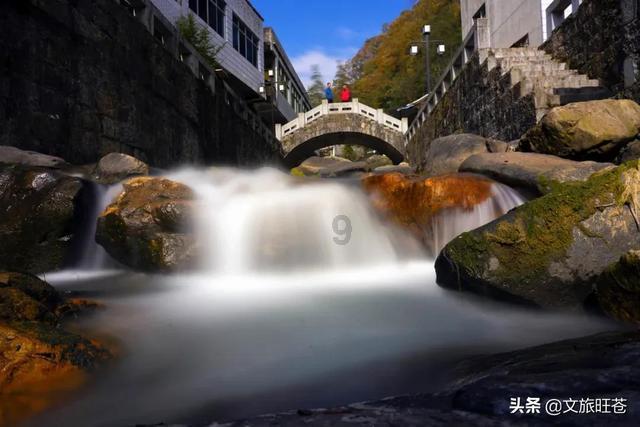 热带天堂找不同