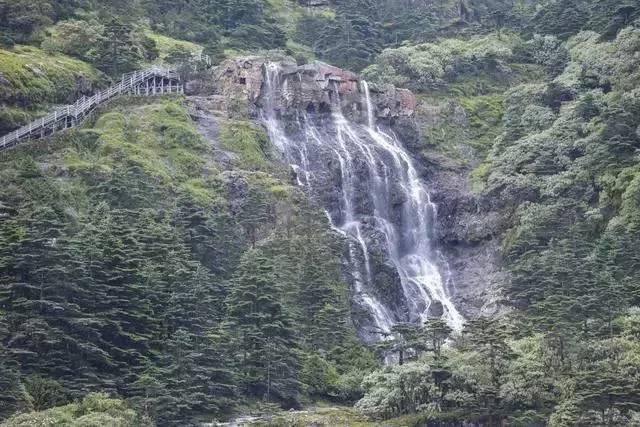 探寻请用时而时而描写一下燕子活动的情景,发现乐趣之源