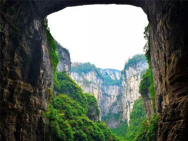 救援大嘴鸟