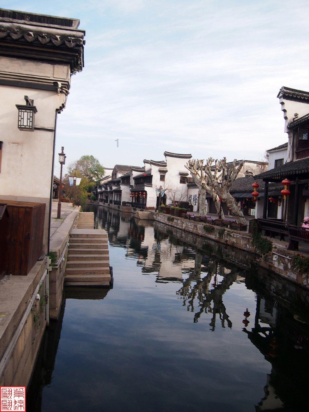 学习插花艺术
