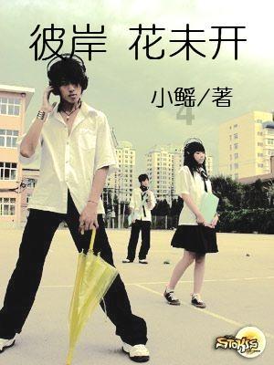 解救金刚鹦鹉