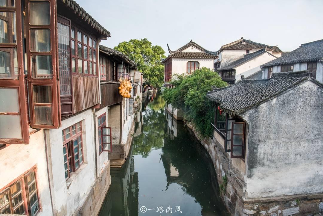 战僵特警