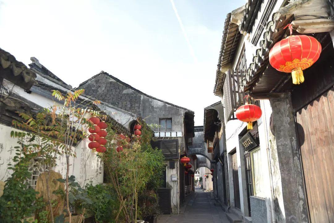 逃离梦想花园