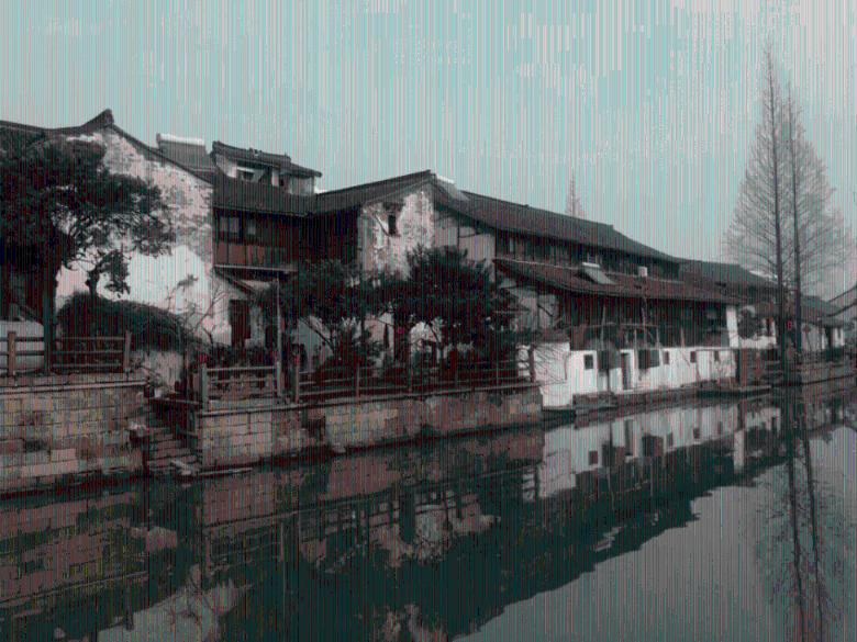 小长颈鹿逃离
