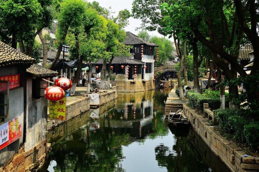 天津七里海湿地再发现一头白色麋鹿,基因有望稳定遗传
