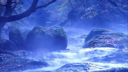 春雨直播app