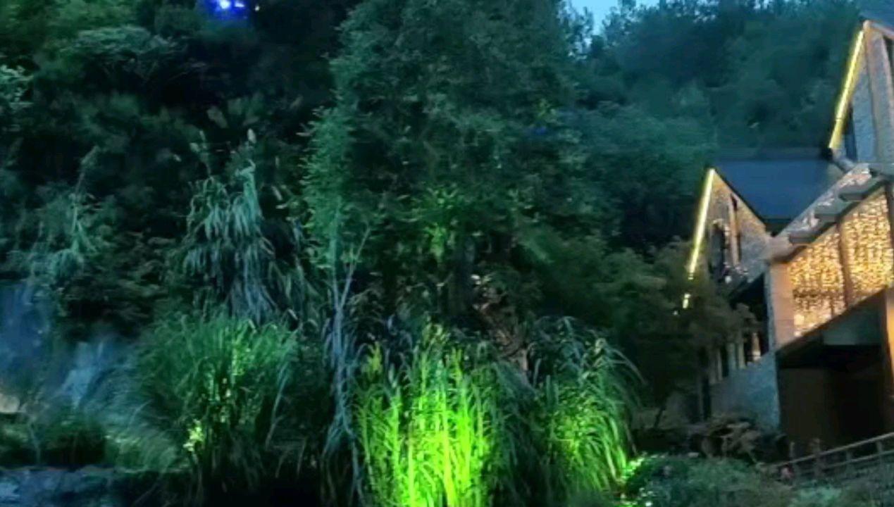 大白猫逃脱